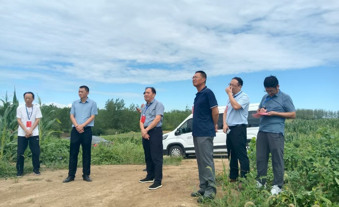 霍邱县政协聚焦耕地保护调研  筑牢粮食安全防线